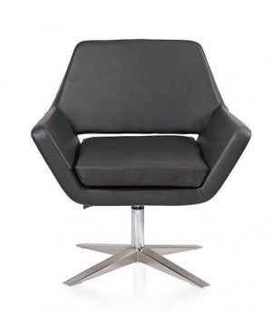 17 - lounge chair