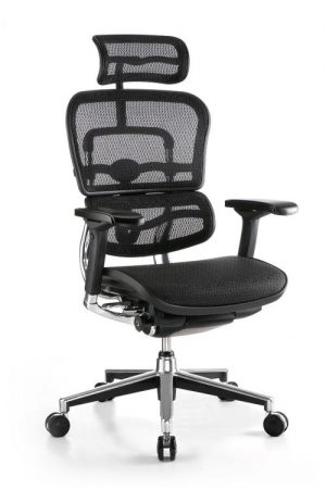 Aura ergonomic chair
