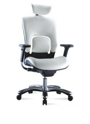 Ergonor ergonomic chair