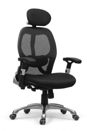 Ryder ergonomic chair